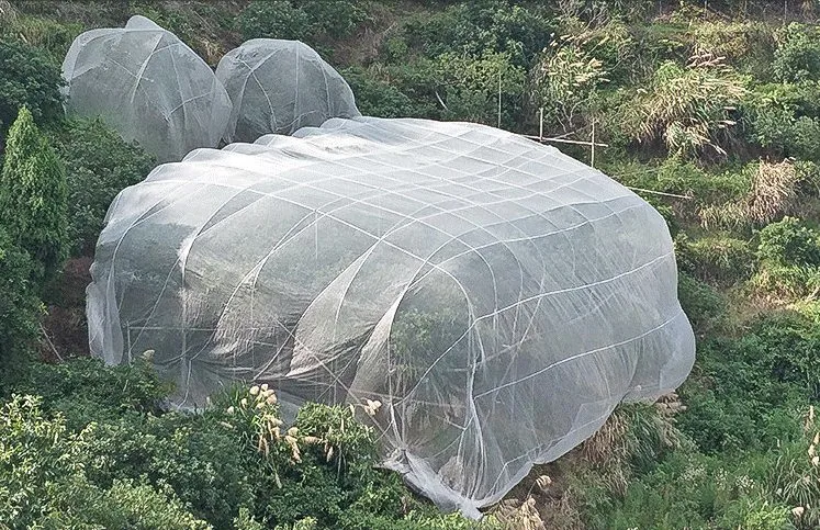 Agrícolas blanca insectos Net con UV Anti trata de gases de efecto