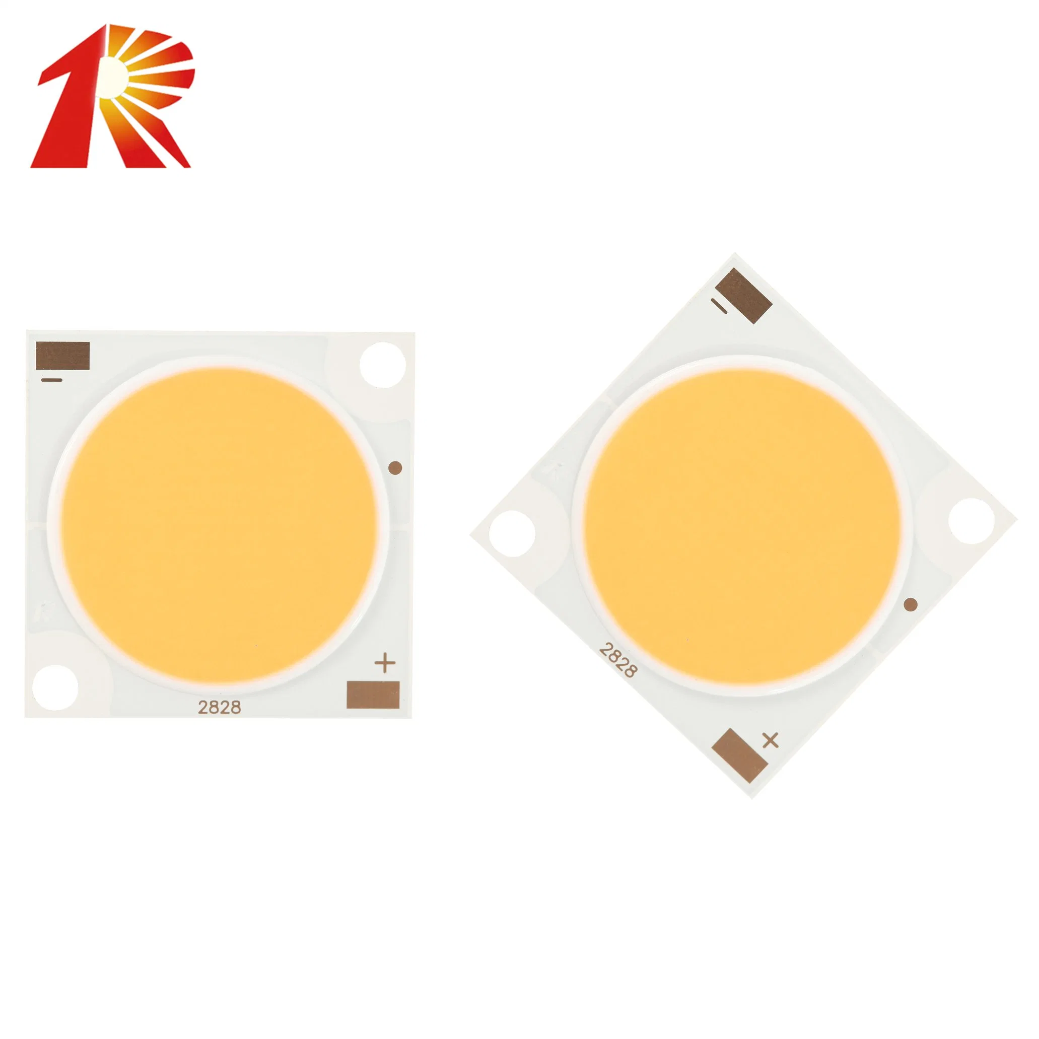 Puce LED COB 2828 à spectre complet de 30W 40W 50W pour lampe de culture des plantes.