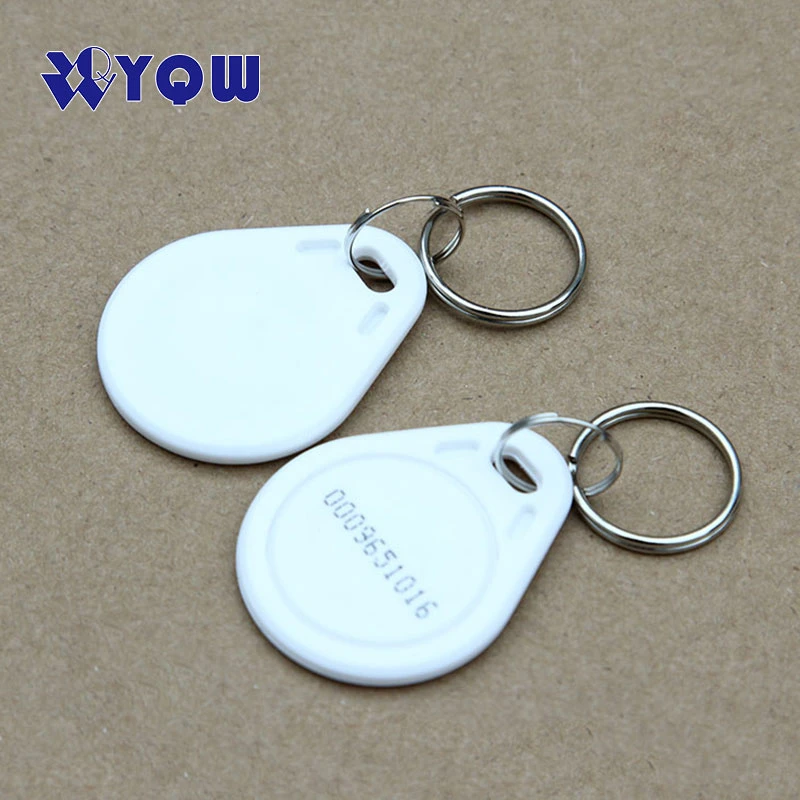 125kHz Lf Rewritable T5577 RFID Plastic Keyfob / Em4305 RFID Keytags