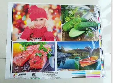 Высокая скорость автоматической Muli-Color пластиковую пленку Flexographic Flexo печатной машины