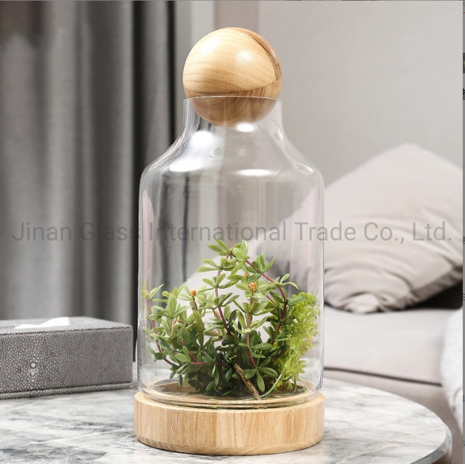 New Creative Modern Glass Vase Handicraft Immortal Flower Ornament with Wooden Ball Glass Storage Tank