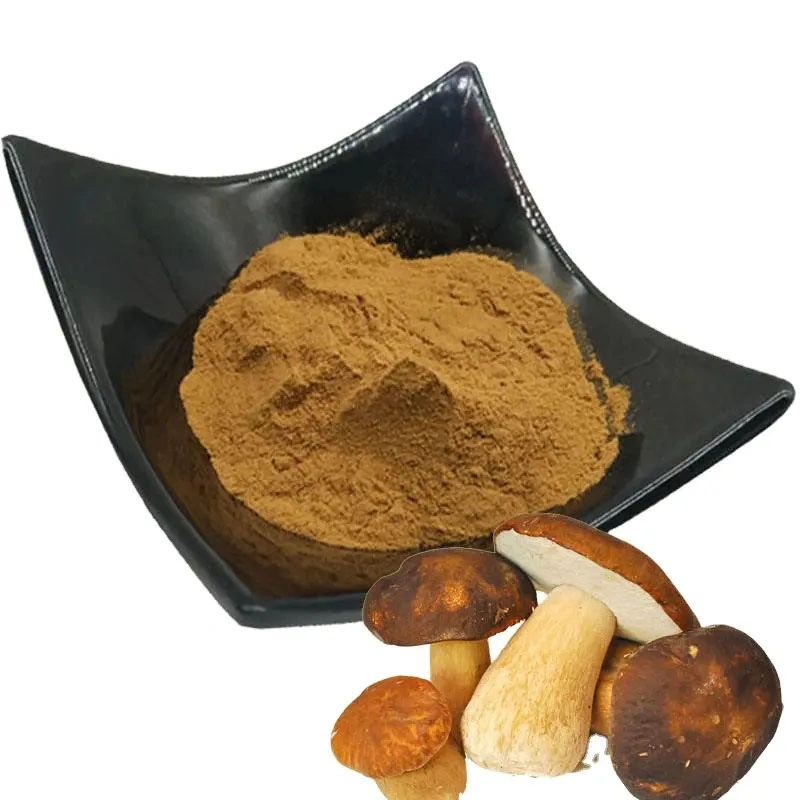 100% Pure Natural Boletus Edulis Extract 10: 1 Porcini Mushroom Extract Powder