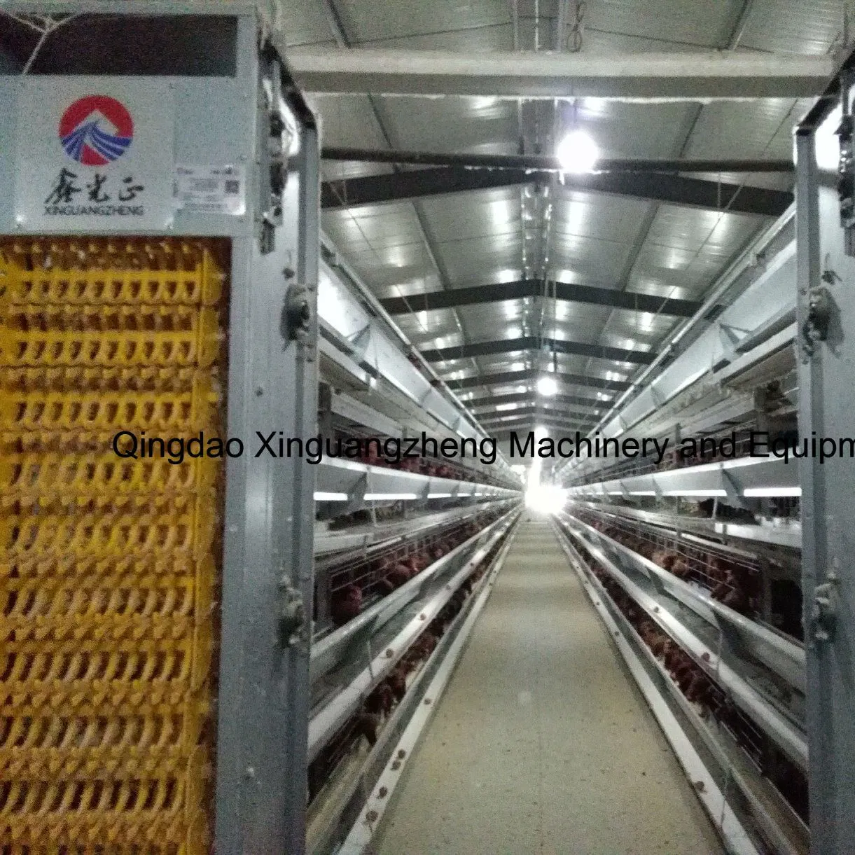 High quality/High cost performance  Automatic Cheap Chicken Cage for Nigerial Poultry Farm