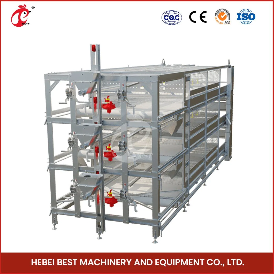 Bestchickencage China Plastic Chicken House Suppliers H Frame Automatic Boriler Cages OEM Custom Felt Material Chicken Cage Manufacturer