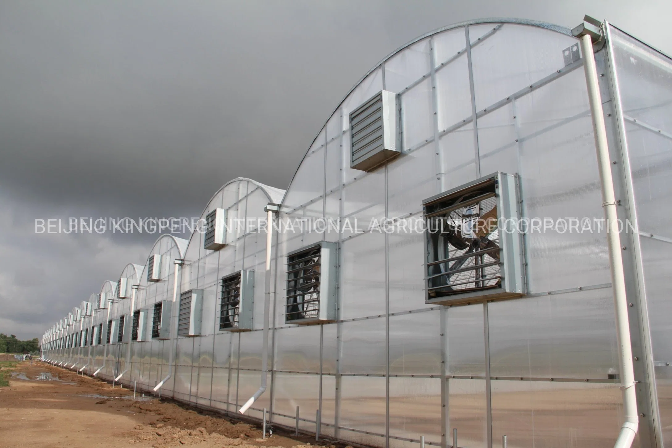 PC Side/Poly House و PE Roof Greenhouse للطاطس النباتية فراولة الخيار