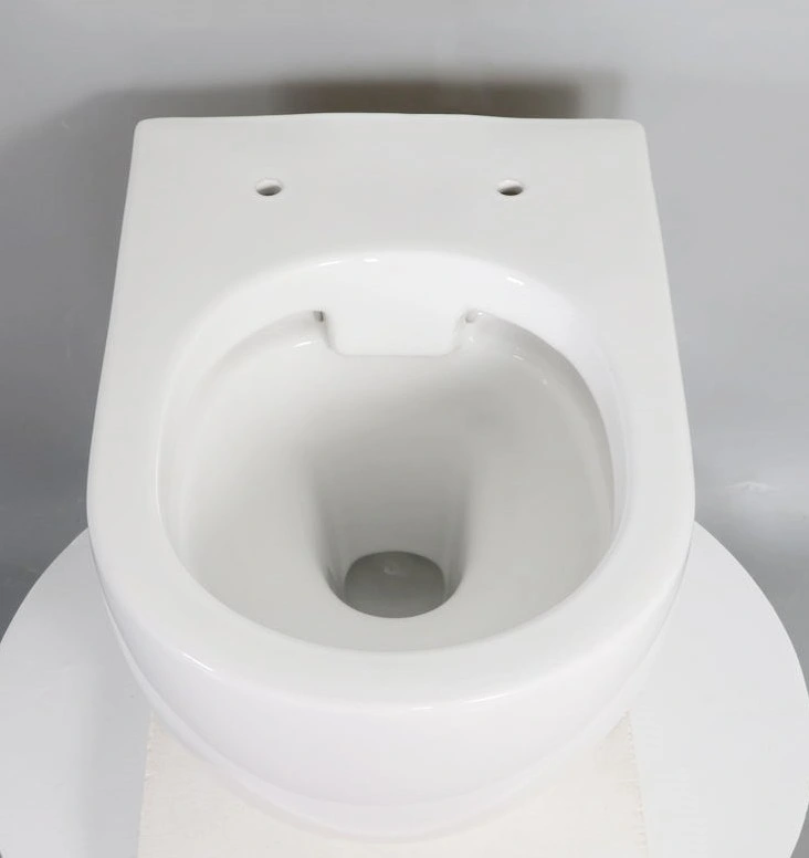 Wholesale/Supplier Sanitary Ware European Bathroom Ceramic P-Trap Washdown Rimless Wall Hung Toilet