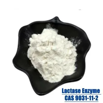 High quality/High cost performance Lactase Enzyme/Lactase Enzyme Powder CAS No: 9031-11-2