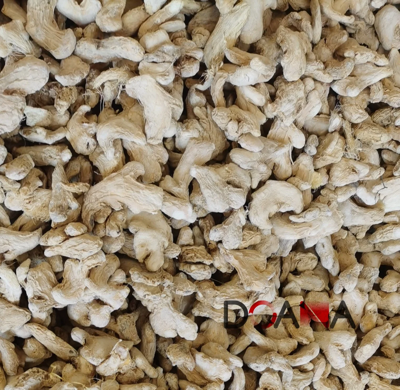 Ginger Factory Supply Good Quality Dry Ginger Block From China