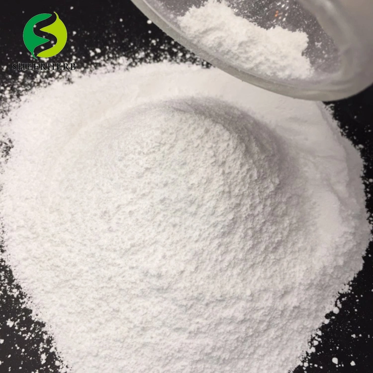 Sheerherb Pure 99% Sodium Benzoate CAS 532-32-1 Food Preservatives at Factory Sodium Benzoate