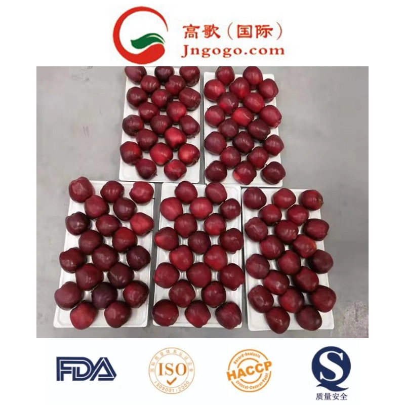 (SQC-PEO) Competitive Price and Quality FUJI Apple