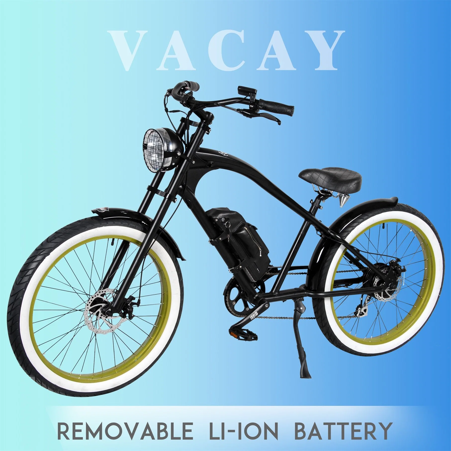 Europe Top Selling Electric Bike with CE / En15194 36V Li Ion Battery Removable Lithium Battery