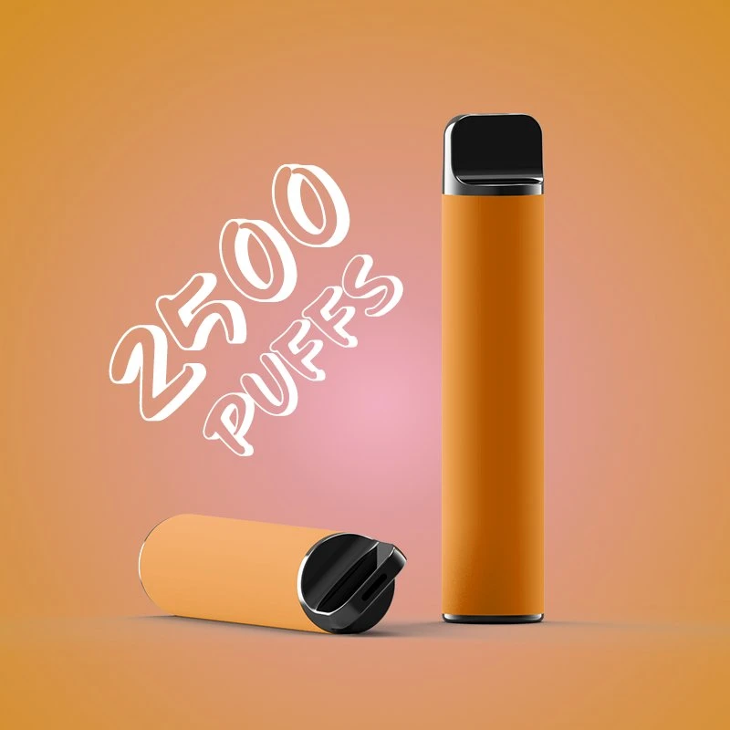 Disposable/Chargeable Vape Pen E Cigarette 2500puffs New Atomizer Factory Vapozier