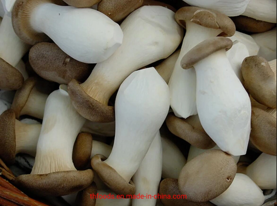 Frozen Pleurotus Eryngii Mushrooms, Frozen King Oyster Mushrooms