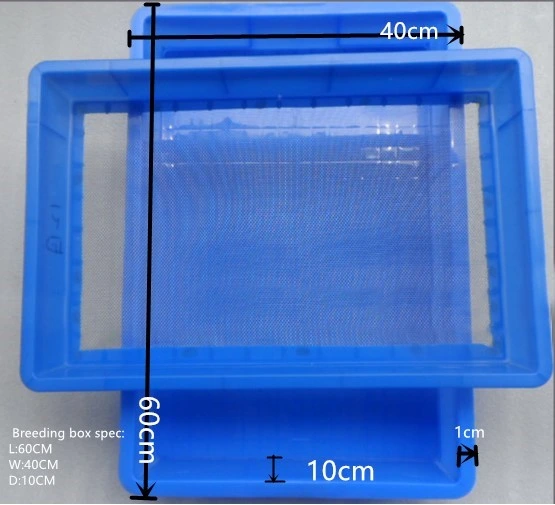 Mealworm Breeding Egg-Laying Box