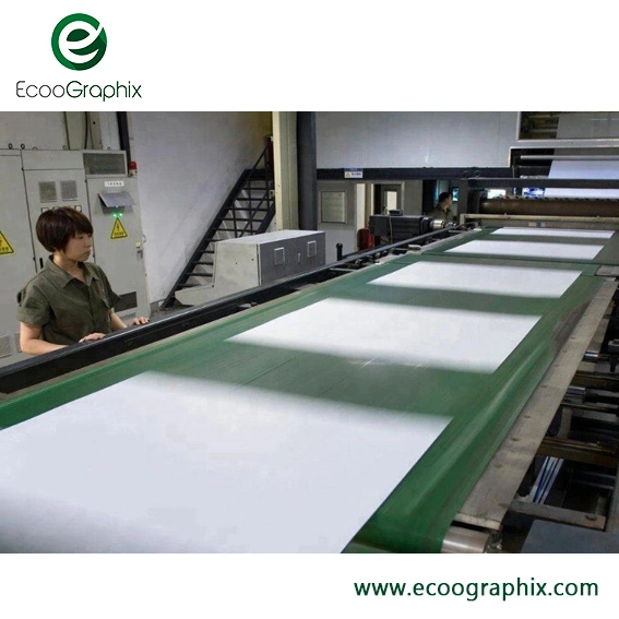 EcooGraphix Negative Working Violet Photopolymer Digital Offset Printing Plate