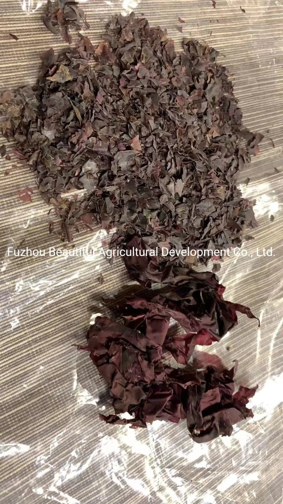 Dried Red Seaweed Palmaria Palmata/Dulse in Flakes