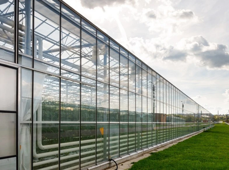 Great Performance Glass Greenhouse for Vegetables/Fruits/Flowers