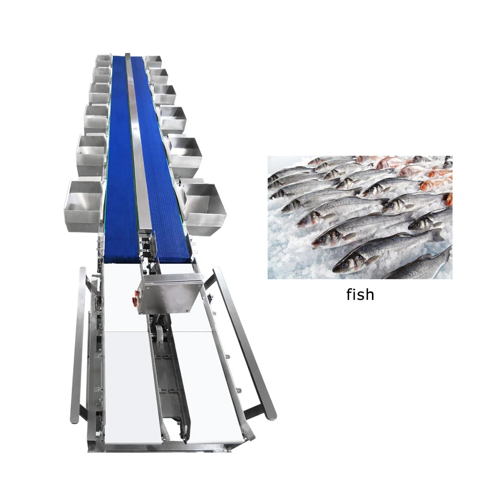 Tt-Wsm-02 Fish Weight Sorting Machine