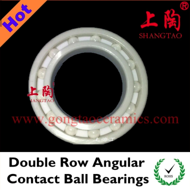 High Corrosion Resistant Zirconia Ceramic Bearings