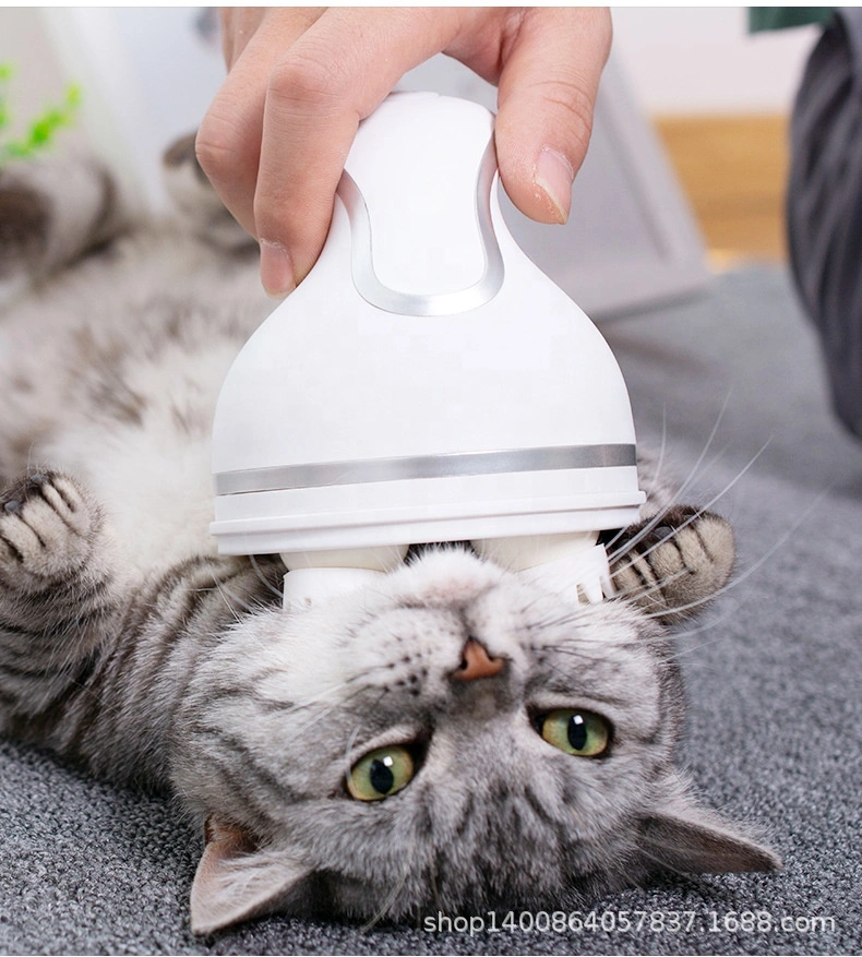 Venta de Gato como mascota nuevo masajeador eléctrico