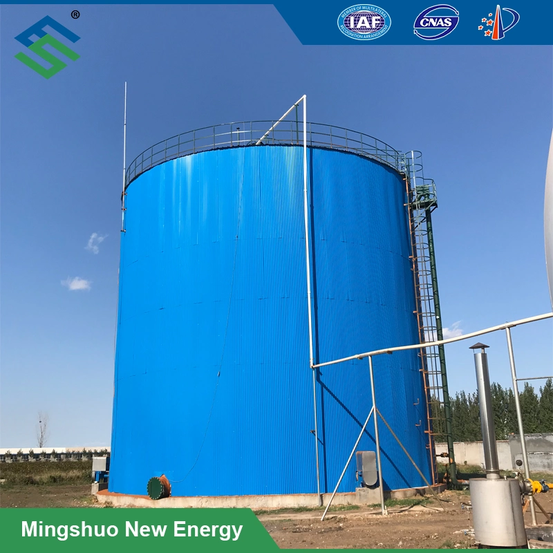 Biogas Digester for Power Generation