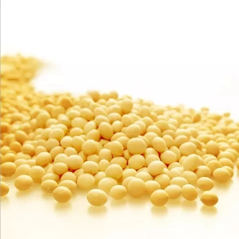 Emulsionantes de calidad alimentaria Soya Lecitina polvo