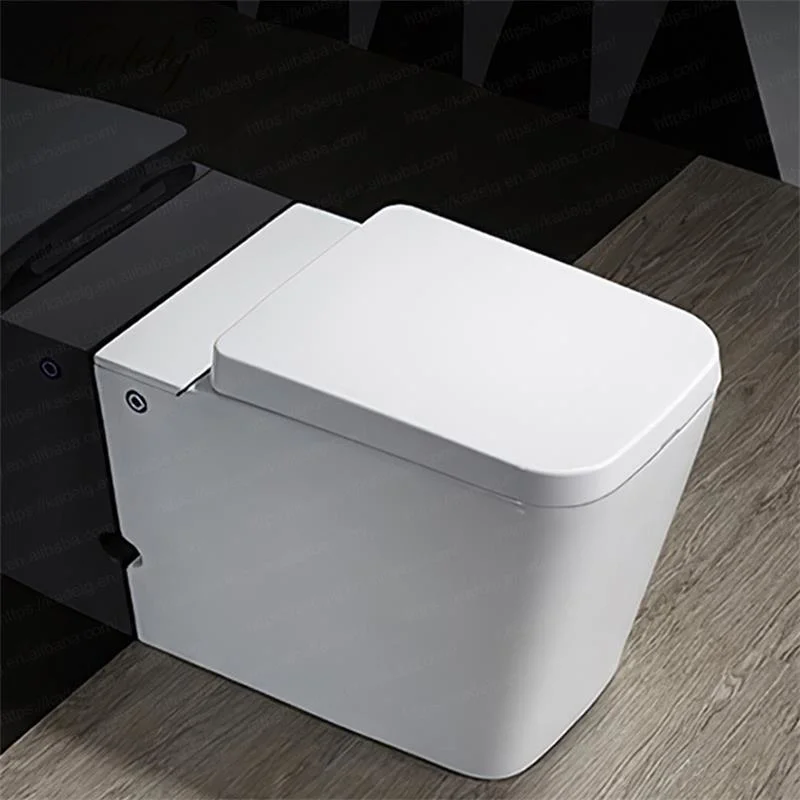 Weiße Keramik Pulse Tankless automatische Toilette Wand hing RV Toilette