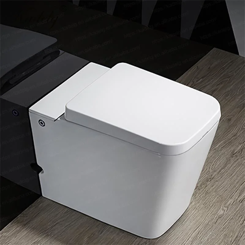 Blanc céramique Pulse sans réservoir automatique mur de toilettes Hung RV WC