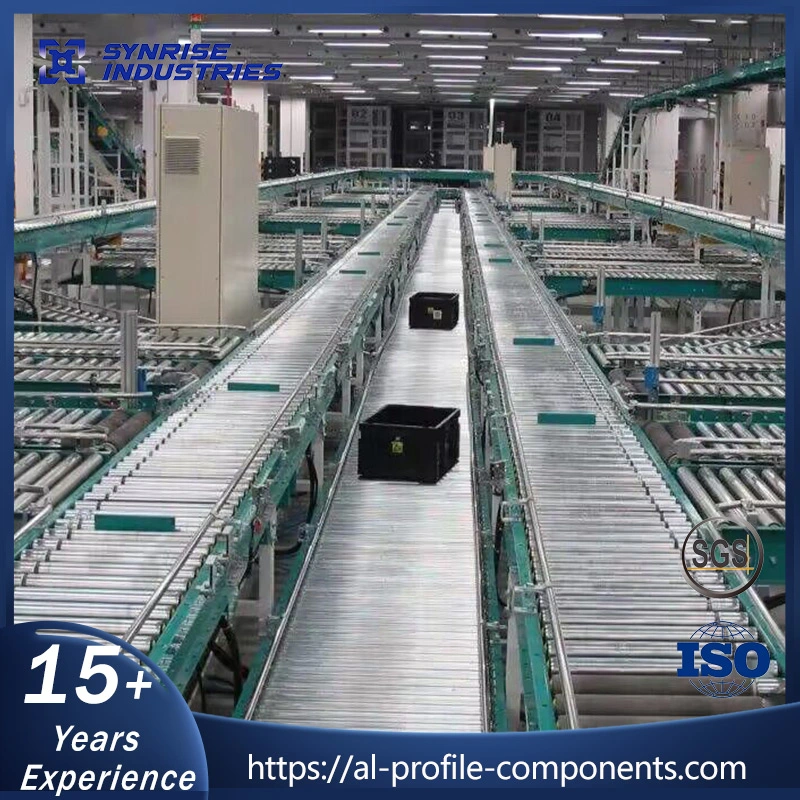 Customized Plastic Flexible Conveyor Belts Roller Conveyor Bottle Conveyor System