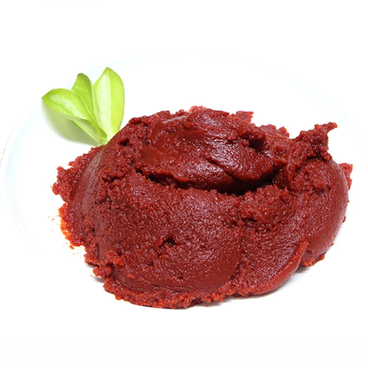 Canned Tomato Paste in Hot Sales Factory Supply in High quality/High cost performance 