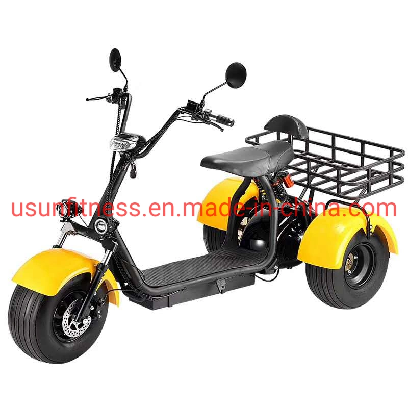 Special Vehicles for Farms and Gardens Electric 3 Wheel Scooter Electric Tricycle Cargo with CE