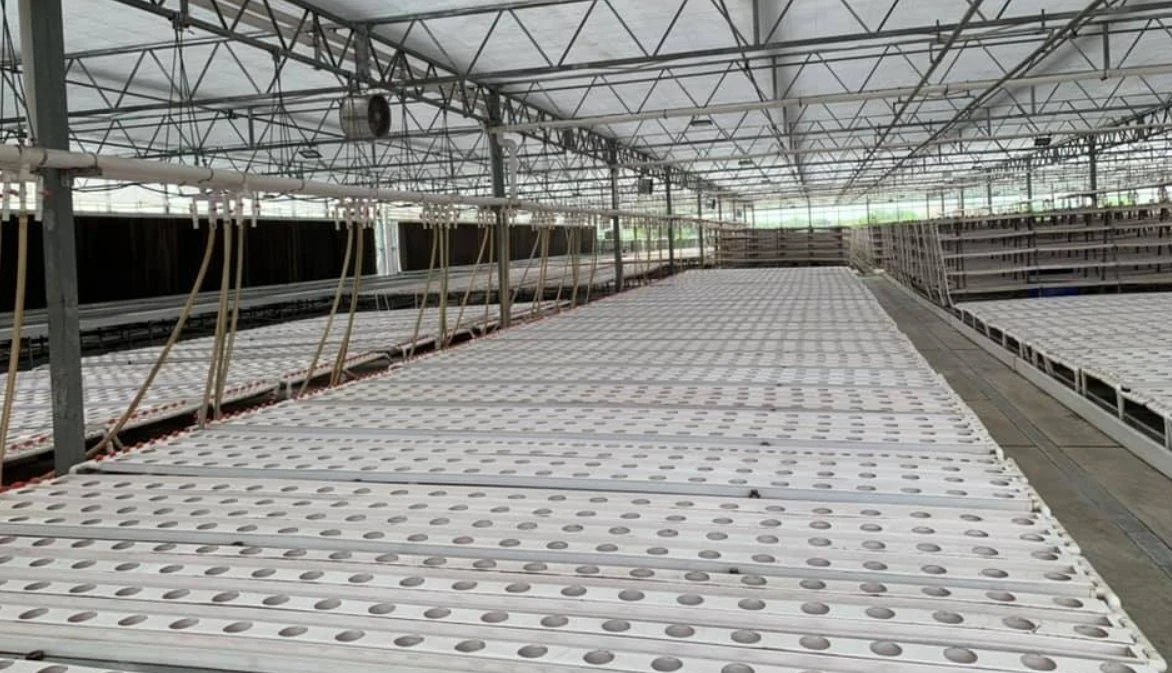 Galvanized Steel Truss Gutter Connected Hydroponic Growing System Greenhouse Invernadero