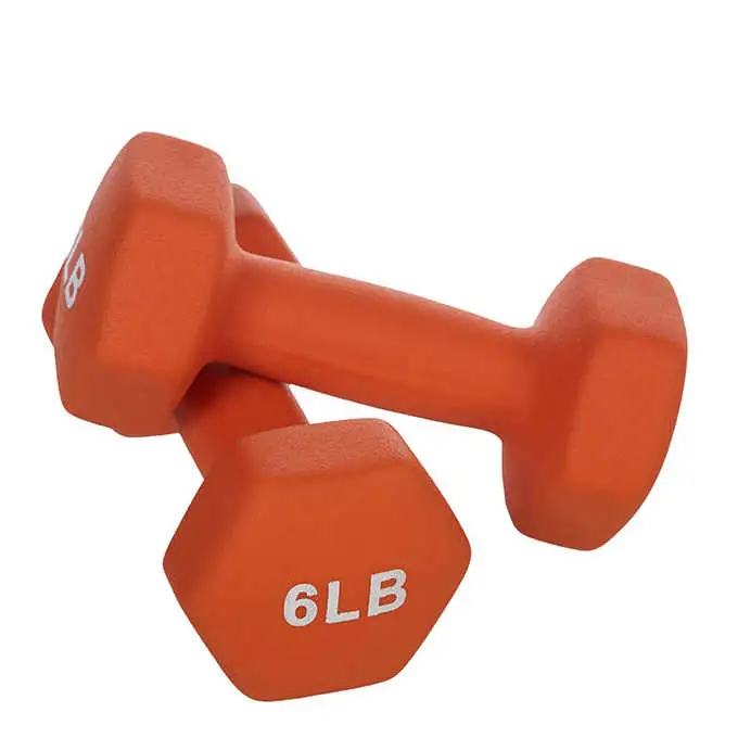 PVC Dumbbell Set para levantamiento de pesas