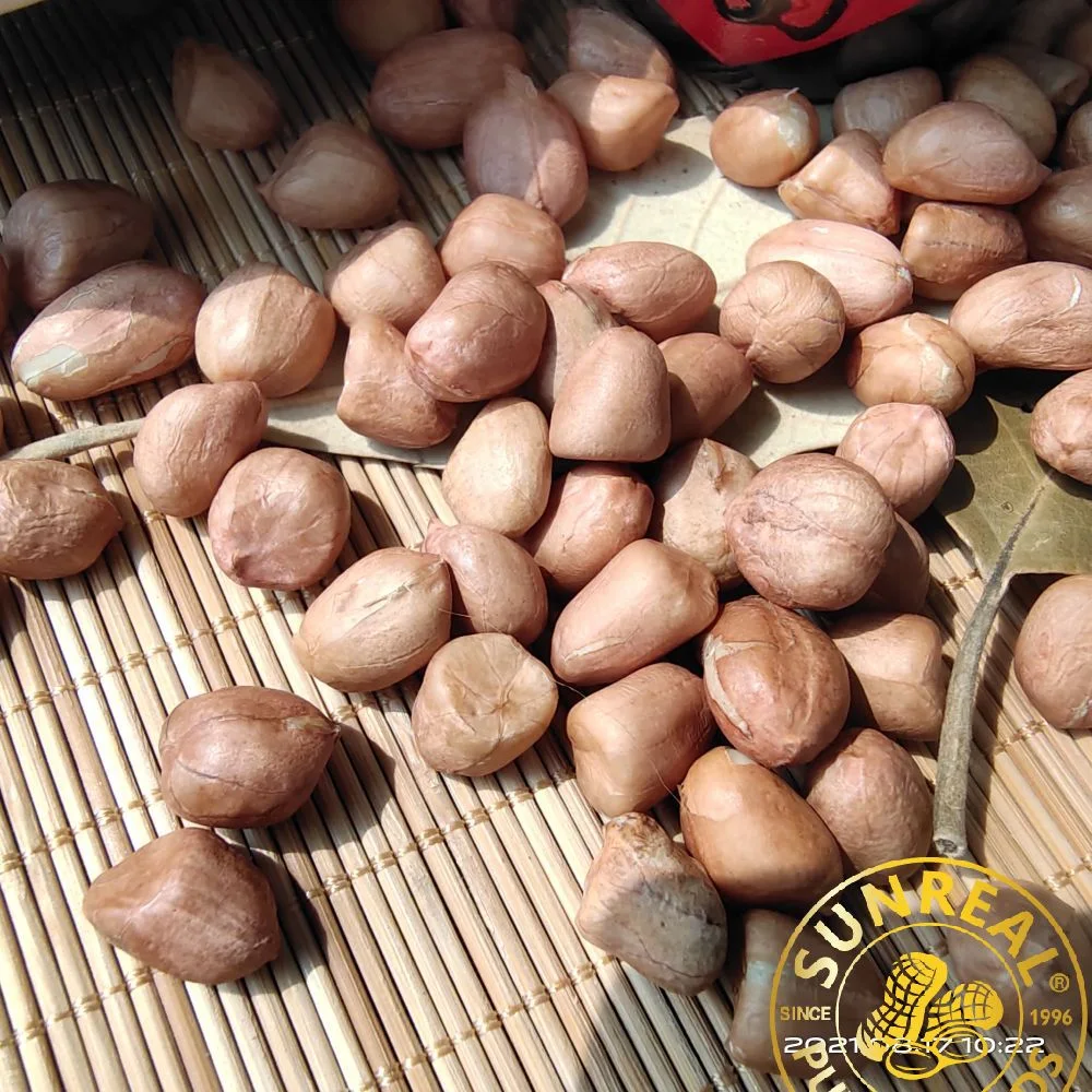 Raw Peanut Kernels 50/60 Hsuji Type Best Quality Gorgeous Packages