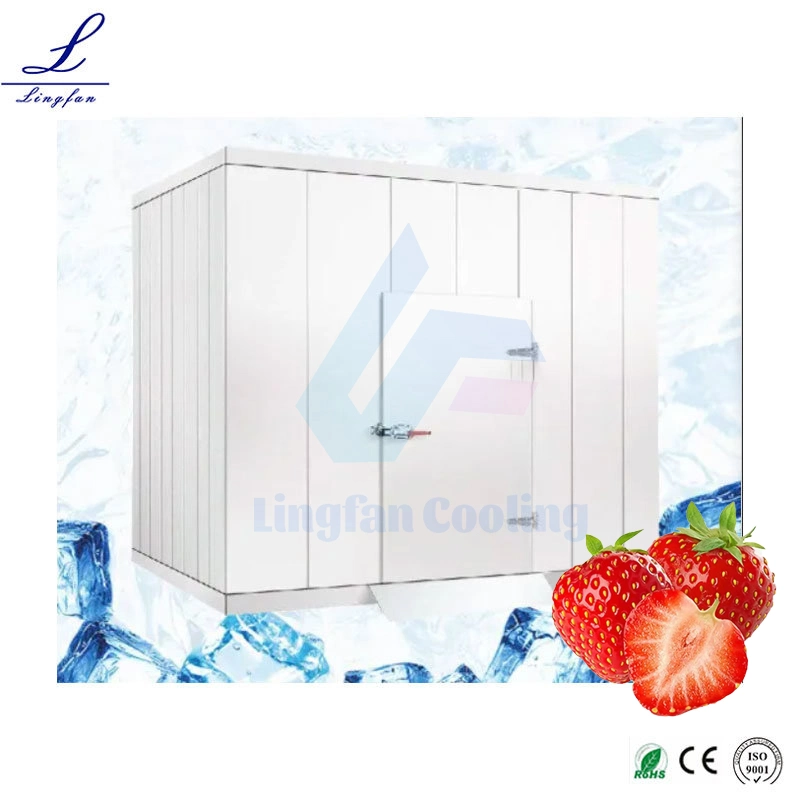 Beverage Company Refrigeration Warehouse Drinks Fresh Keeping Storage Walk in Fridge