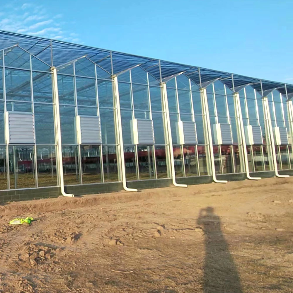 Cuadro de la planta de montaje en pared vegetal Extractor de Aire Industrial granja avícola jardín de flores de invernadero Usr ventilación ventilador de extracción