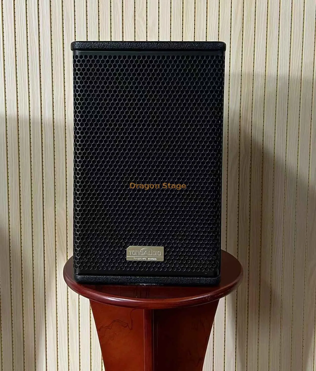 Dragonstage China Professional Audio Single 10 Inch 250W Club Concert Speaker