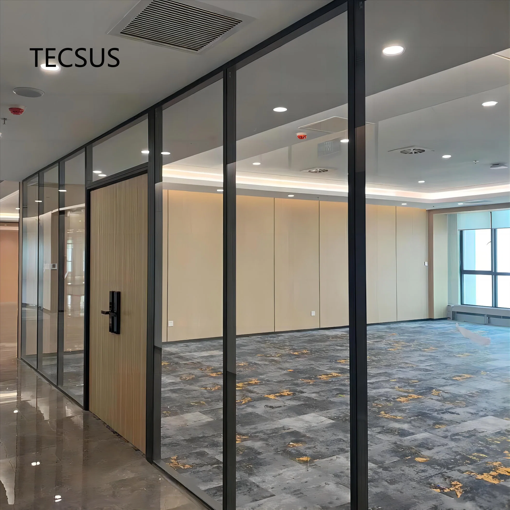 Manufacturer Price Office Glass Partition Wall for Room Devider with ISO (TECSUS 80 series)