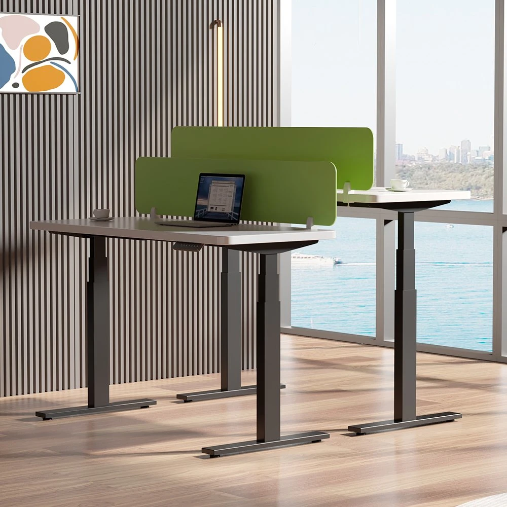 Office Furniture Computer Desk Workstation Electric Dual Motor Sit and Stand Adjustable Desk