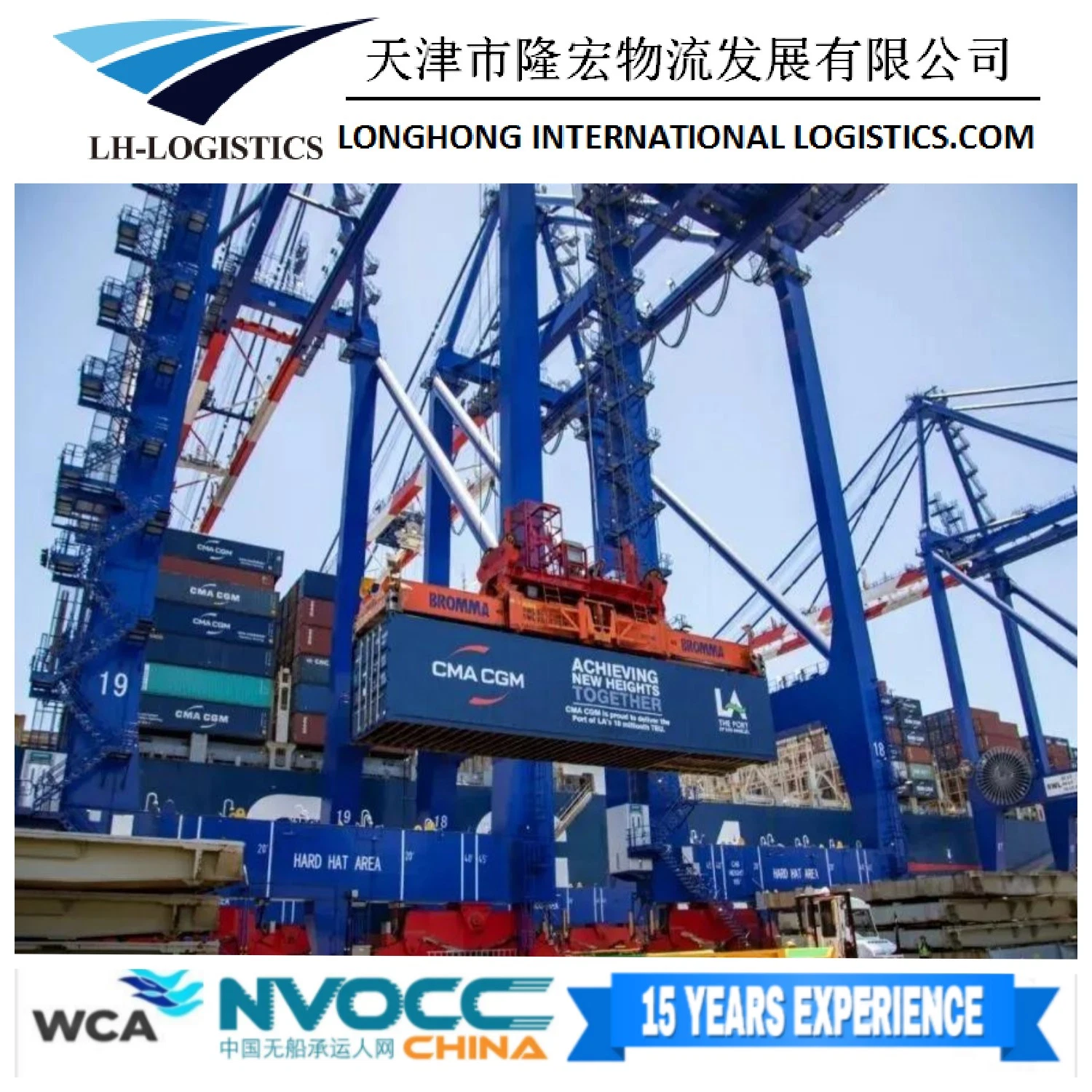 International Sea Freight Shipping Company Professionelle chinesische lokale Versand Spediteur nach Australien.