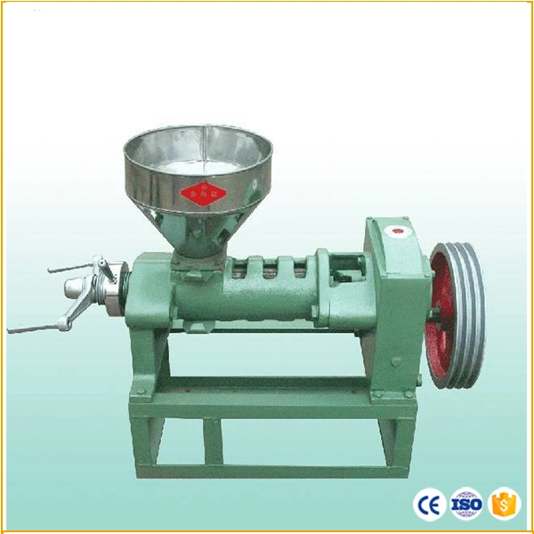 Screw Type Vegetable Seeds Oil Presser Cold Press Oil Machine