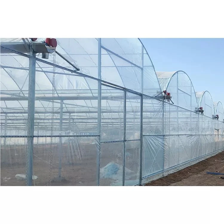 High quality/High cost performance Agricultural UV Protection Mulch Plastic Roll Poly Film Greenhouse