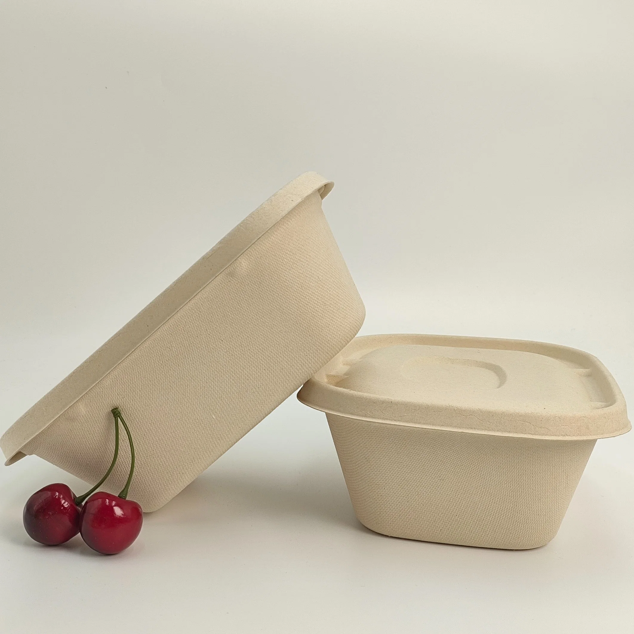 Biodegradable to Go Packaging Sugarcane Bagasse Pulp Takeaway Fast Food Conatiner Salad Box