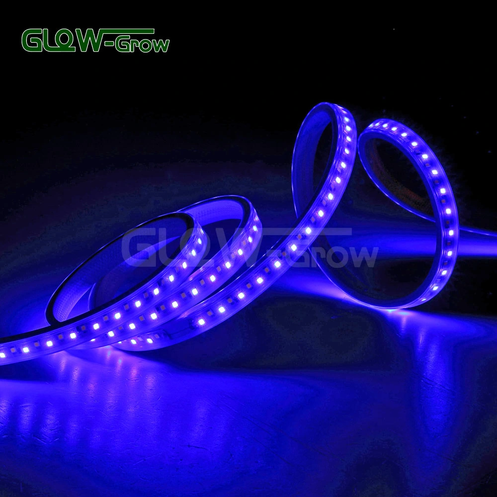 164FT Dual Color Flexible LED Rope Light Strip SMD 2835 LEDs with Dimmable IP65 Waterproof Remote Controller