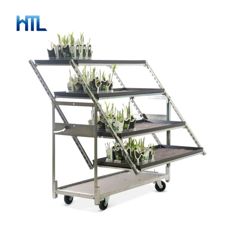 Plywood Flower Horti-Display Garden Greenhouse Nursery Transport Trolley with Layers