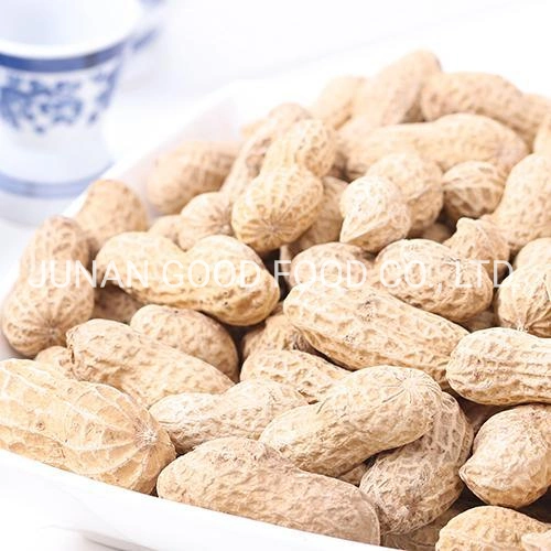 Delicious Creamy Natural Roasted Peanuts