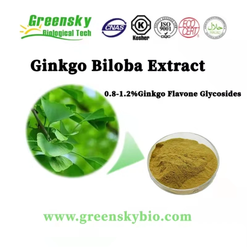 Extracto de Ginkgo Biloba 0,8%-1,2% Ginkgo Flavone glucósidos Ginkgo Biloga L. polvo fino Marrón Amarillo Extracto de plantas de Alta calidad Extracto de hierbas Natural puro