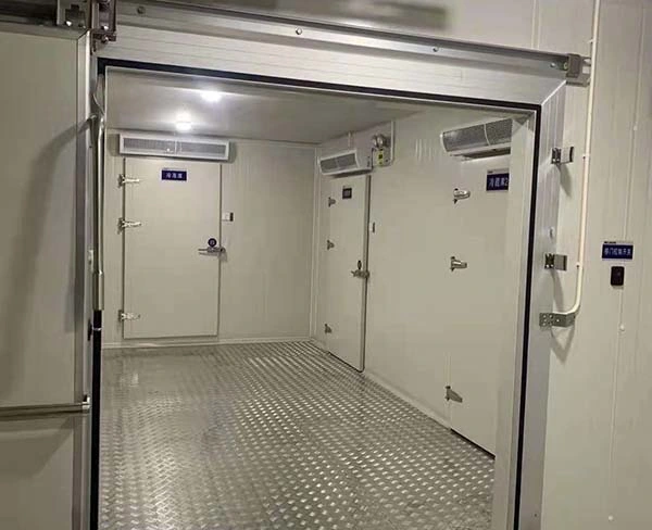 Customized Temperature Used Walk in Cooler Panels Cool Room Storage for Vegetable and Fruit