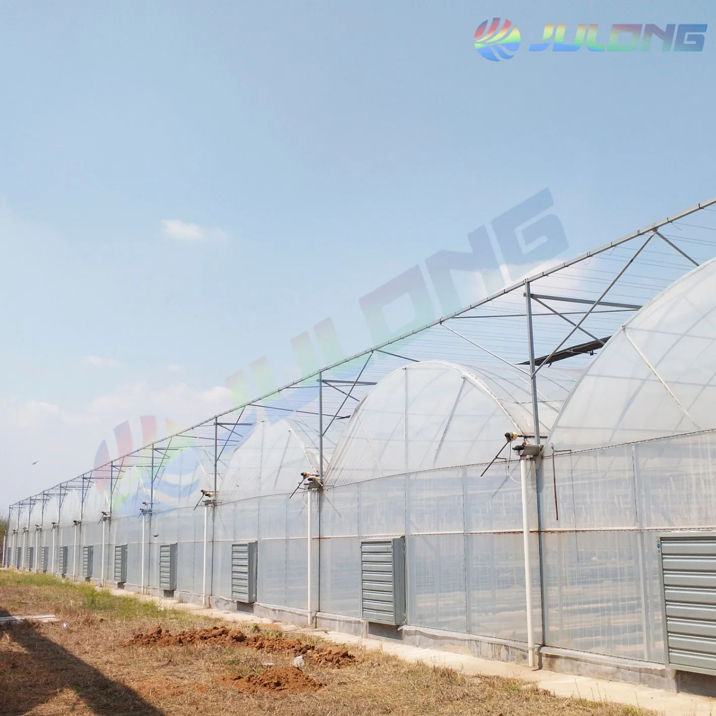 China Agriculture Multi-Span Hydroponics Greenhouse for Vegetables Flower Tomato Farming