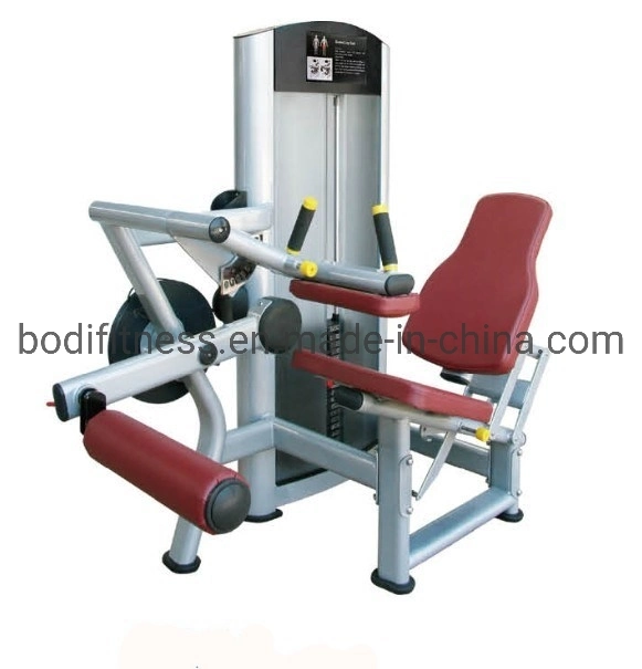 Sport Shandong Fitness Equipment Multi Gym/Heavy Duty Gym Equipment Seated Leg Press